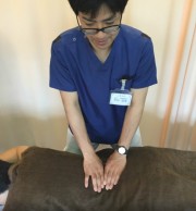 5.施術、説明(生活指導等)